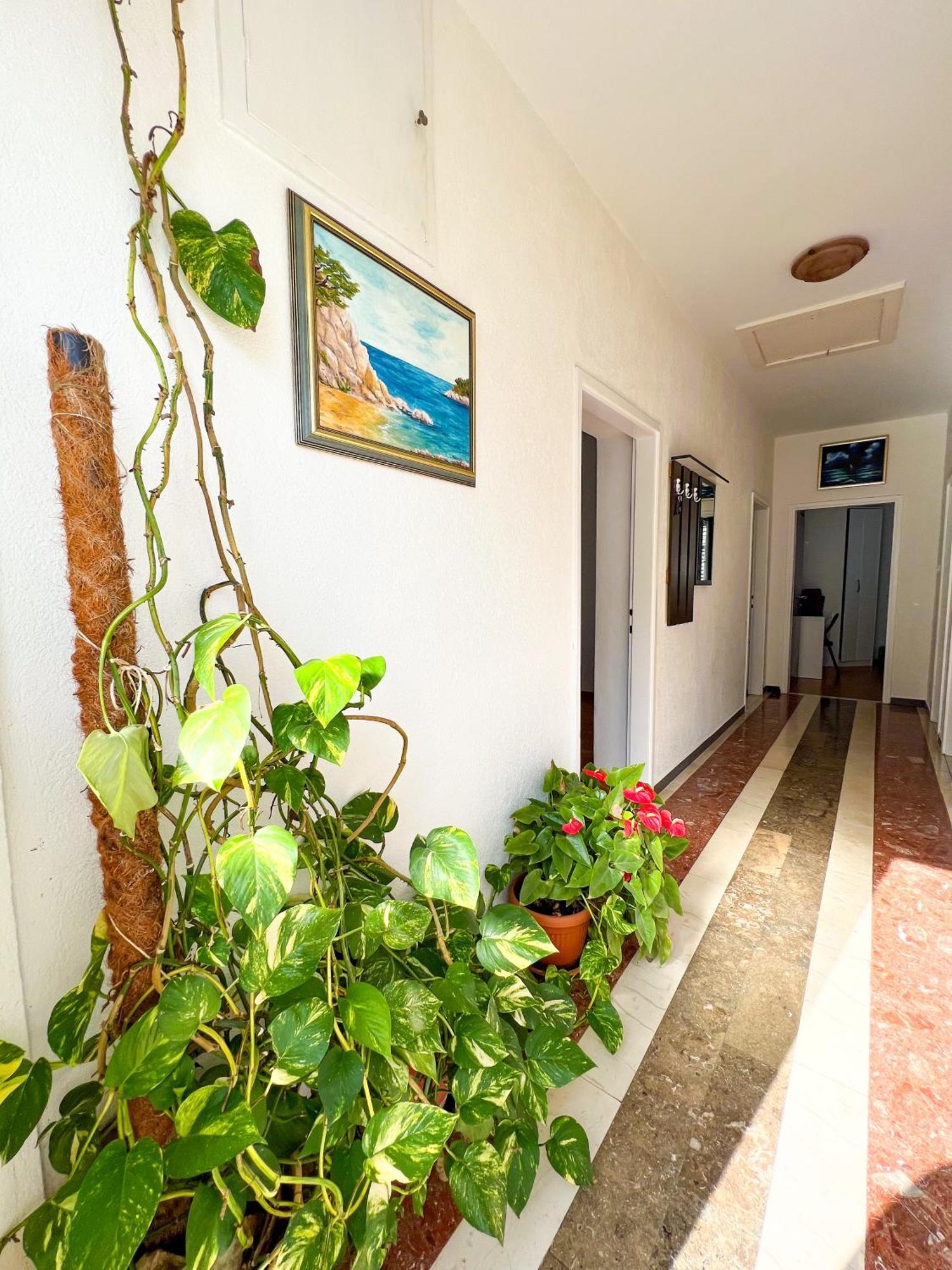 Apartment Bava ดูบรอฟนิก ภายนอก รูปภาพ